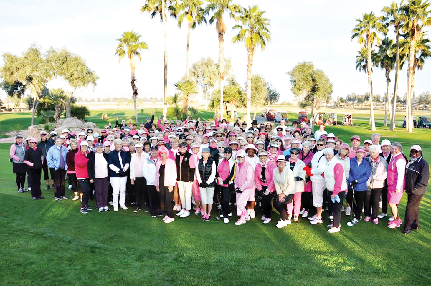 PCLGA Pink Power participants, front row left of middle: Co-Chairs Linda Glazar (pink wig) and to her left Ellen Stergulz