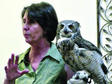 Jodi Kieran discusses Wild Bird Rescue