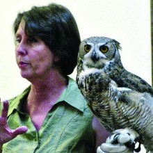 Jodi Kieran discusses Wild Bird Rescue