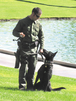 Officer Josh White with his canine partner Rudy