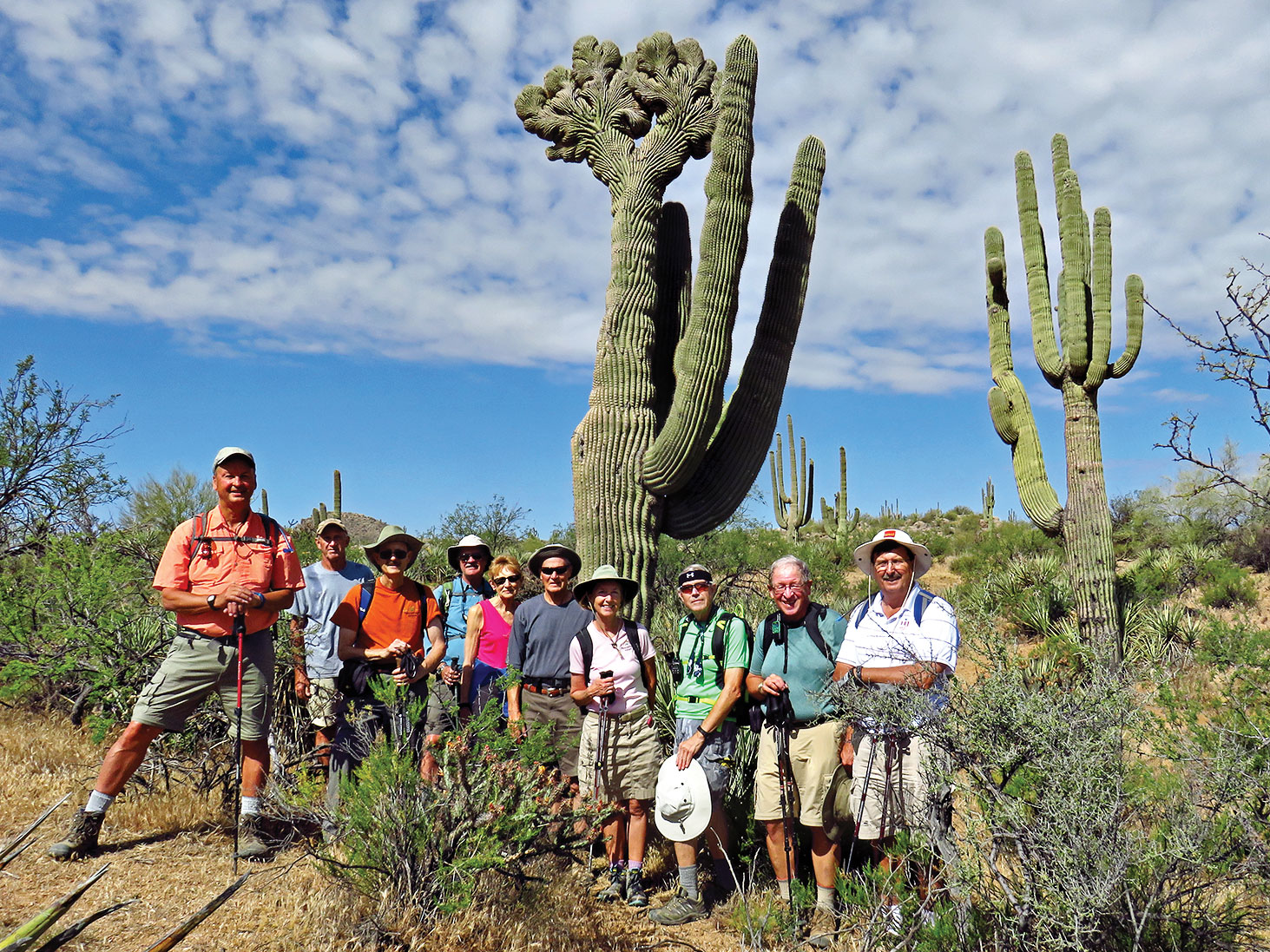 Left to right: Tom Wellman, Clare Bangs, Pete Williams (hike leader), Jim Gillespie, Betty Garner, Wayne Wills, Ann Rohlman, Lynn Warren (photographer), Joe Clarkson and Steve Duncanson pausing for a photo op with a rare double crested saguaro just off the Granite Mountain loop trail.