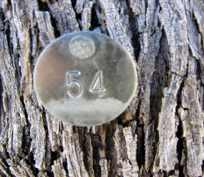 Tree 54 GIS tag
