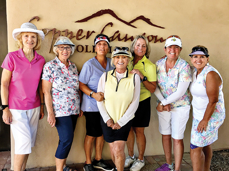 LASSI winners (left to right): Carol Taylor, Barbara Chilton, Andrea Dilger, Donna Havener, Judy Newell, Ellen Enright and Cindy Sota.