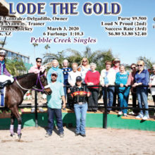 Members of the PC Singles Club enjoyed a beautiful day at Turf Paradise Club in Phoenix.