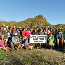 Linda and fellow hikers pause for a short celebration and group photo in the White Tanks before departing for Ford Canyon Dam along a trail highlighted by brittlebush in bloom.