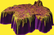 An example of creative photography by Ernie Jackson, utilizing a dead leaf and some readily available post-processing software.