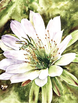 “Cactus Delight” by Hilary Fiscus, watercolor entry