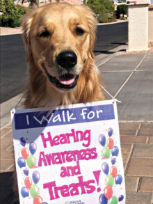 Riley, the golden retriever, will be walking too!