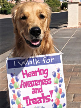 Riley, the golden retriever, will be walking too!
